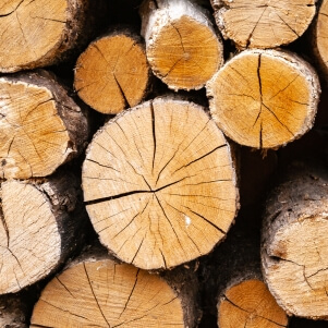 Влияние влажности на древесину
