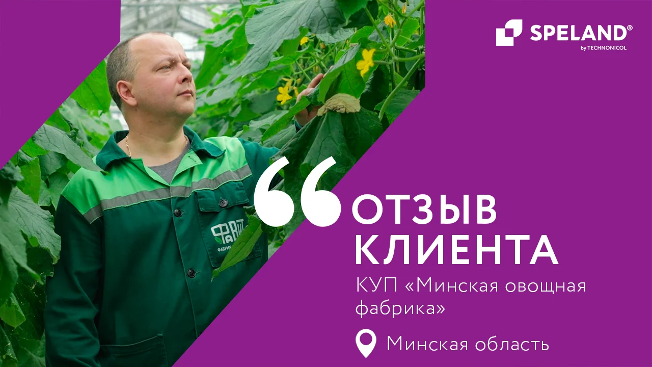 SPELAND. Отзыв клиента. ТК «Минская овощная фабрика»