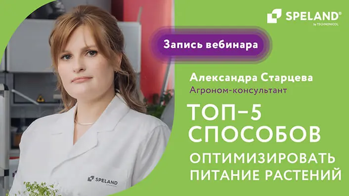 Запись вебинара: ТОП-5 способов оптимизировать питание растений при гидропонном выращивании
