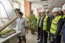 ТехноНИКОЛЬ наращивает производство субстратов из минеральной ваты ТехноНИКОЛЬ наращивает производство субстратов из минеральной ваты