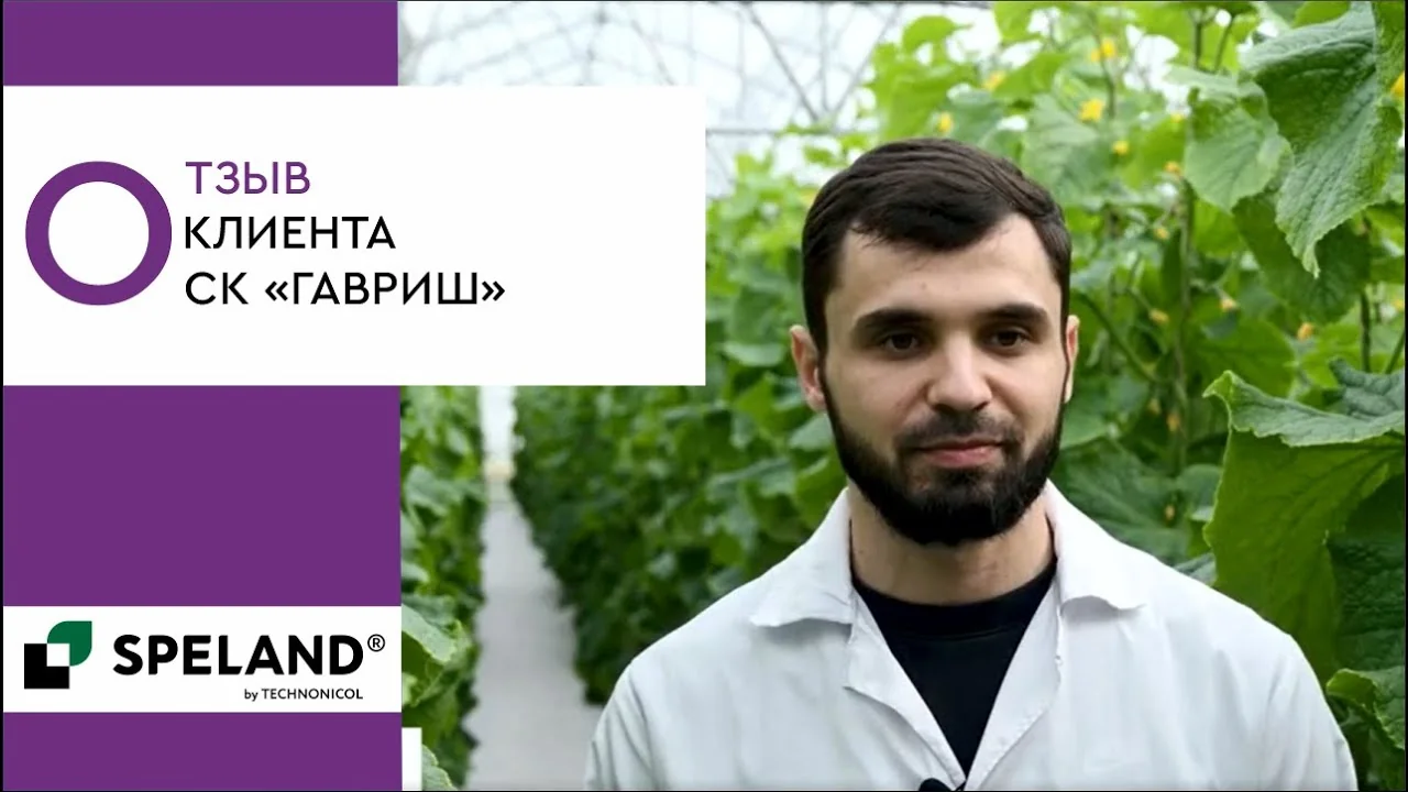 SPELAND. Отзыв клиента. Селекционный центр "Гавриш" в г. Крымск