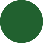RAL 6002