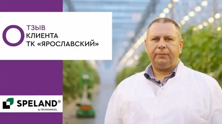 SPELAND. Отзыв клиента. ТК «Ярославский» в г. Ярославль