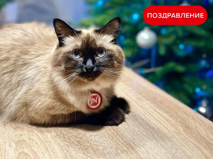 Поздравление с Новым годом