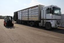 ТехноНИКОЛЬ начала отгрузку продукции в Ростовской области ТехноНИКОЛЬ начала отгрузку продукции в Ростовской области