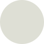 RAL 9002