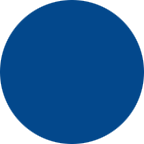 RAL 5005
