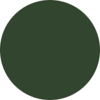 RAL 6020