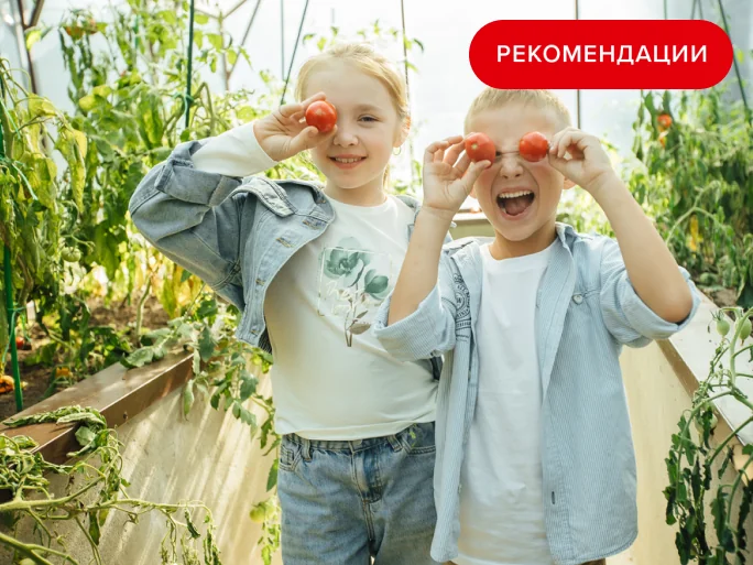 Как сделать дом по-настоящему теплым и выгодным