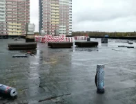 На всех парусах! На всех парусах!