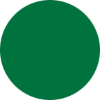 RAL 6029