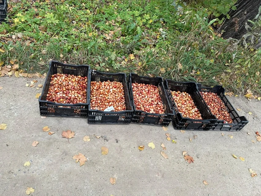 Московский офис ТЕХНОНИКОЛЬ: добро своими руками