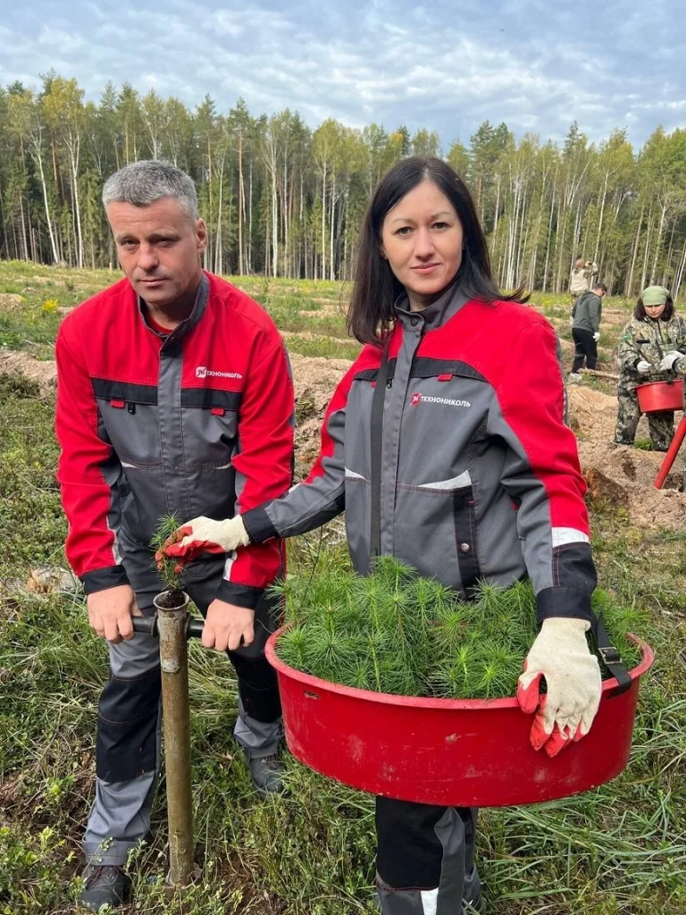 Вместе ради будущего: сотрудники завода «МКД» высадили 2 500 сосен