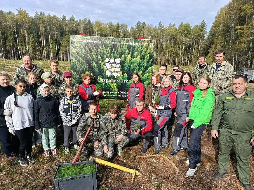 Вместе ради будущего: сотрудники завода «МКД» высадили 2 500 сосен
