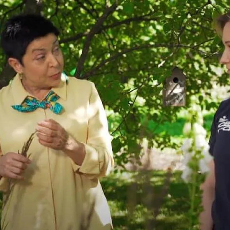 Терраса и сад в английском стиле для Татьяны Булановой