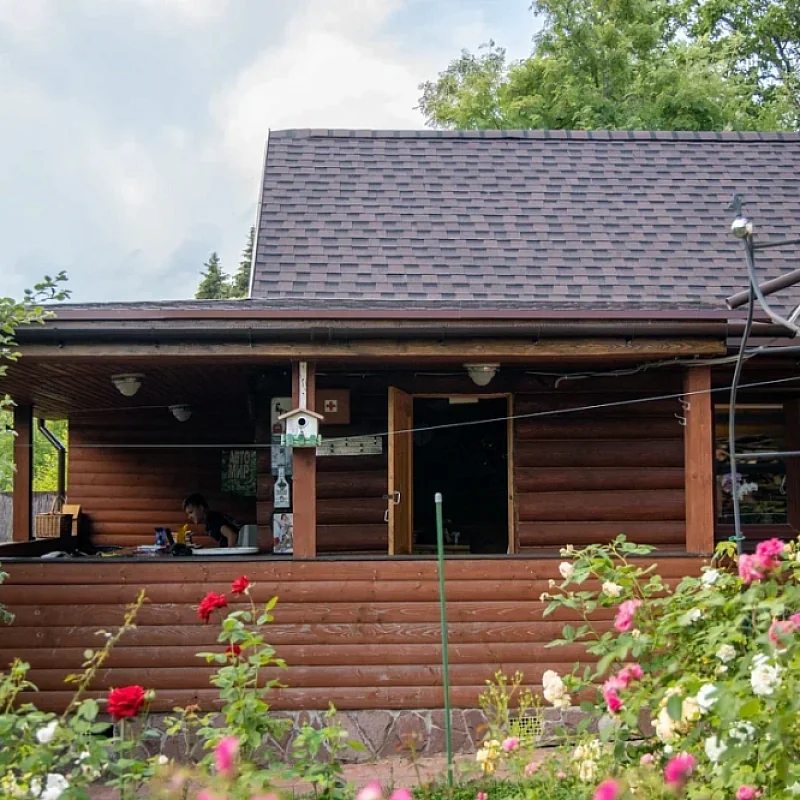 Скатные крыши: виды, конструктивные особенности, порядок строительства