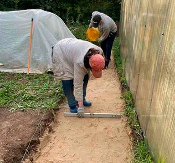 Если долго мучиться, что-нибудь получится. Устройство пешеходной дорожки с помощью защитно-дренажной мембраны PLANTER Geo от ТЕХНОНИКОЛЬ