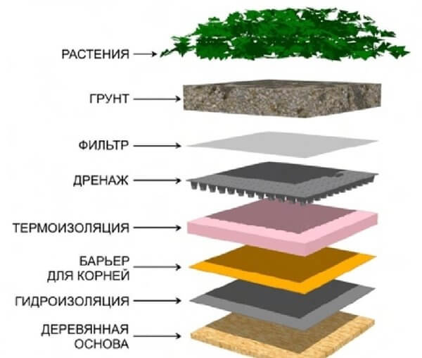 Дома в самых дождливых местах мира