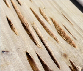 Разбираемся в сортах профилированных изделий из древесины