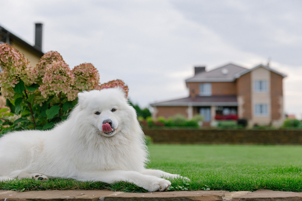 ТЕХНОНИКОЛЬ компаниясының онлайн-калькуляторларын.jpg