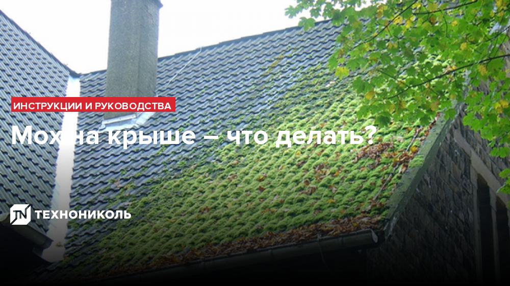 Крыша Зеленый Мох Фото